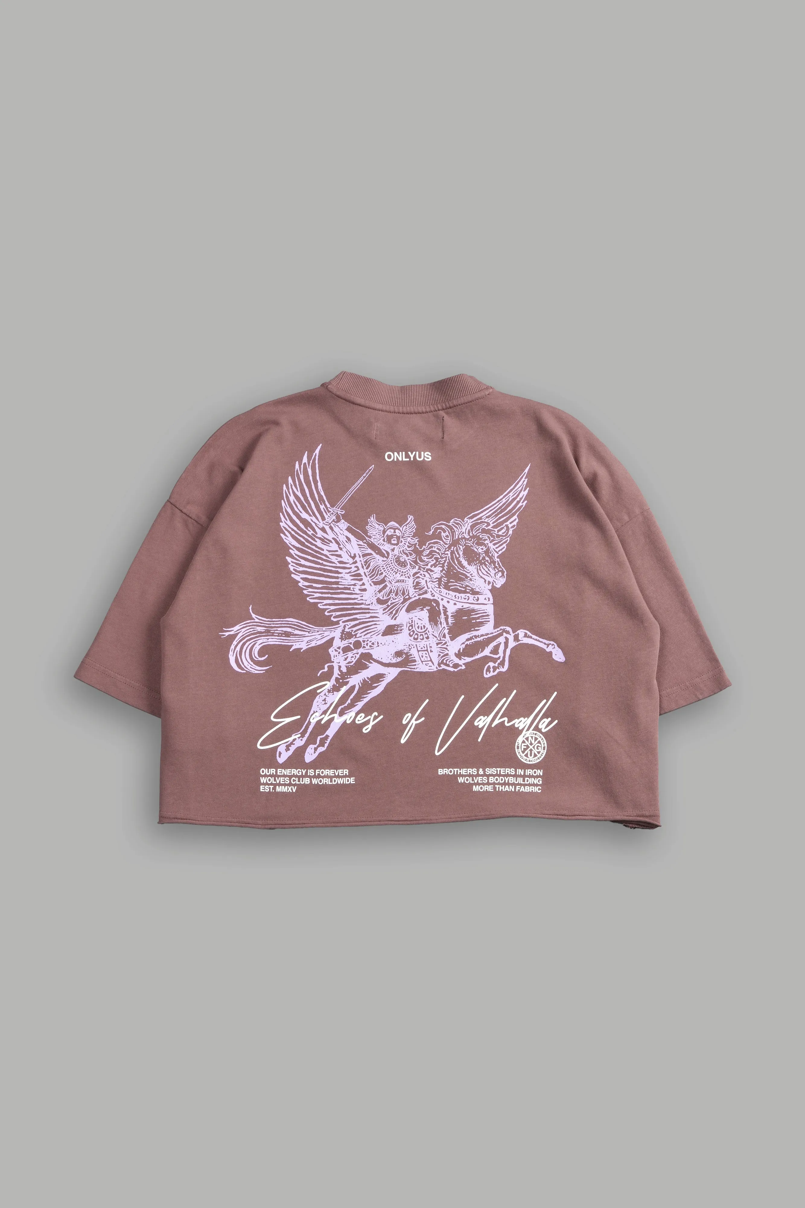 Divine Warrior "Premium" Oversized (Cropped) Tee in Norse Brown